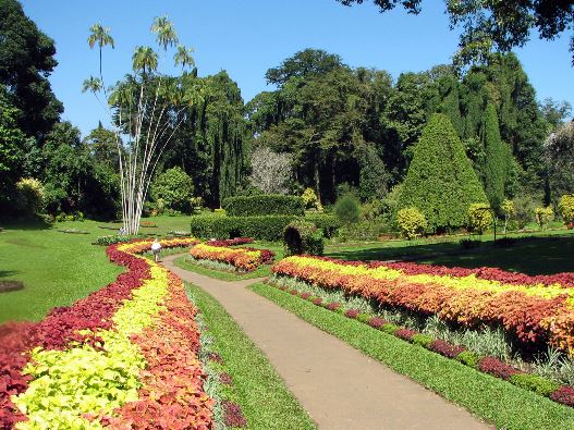 Kandy