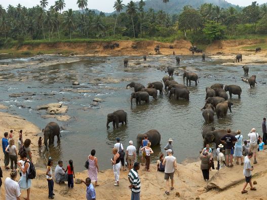 Kandy